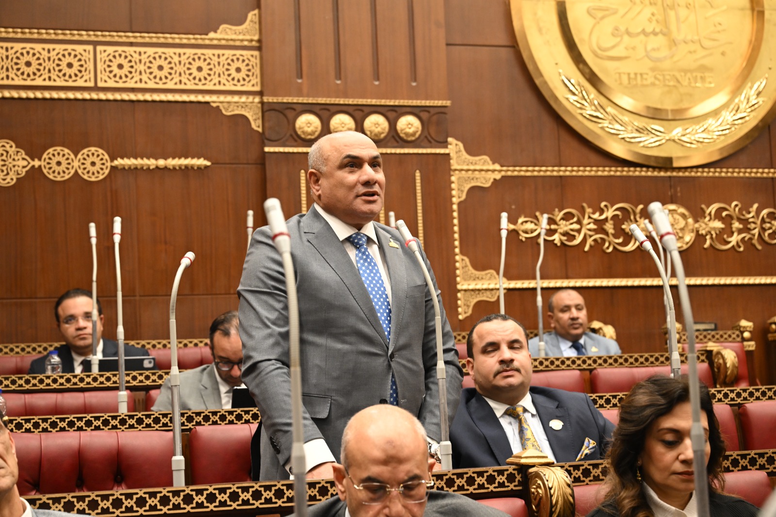 النائب شعبان رأفت عبداللطيف يطالب بسياسة واضحة لتنظيم استخدام الأطفال للهواتف المحمولة