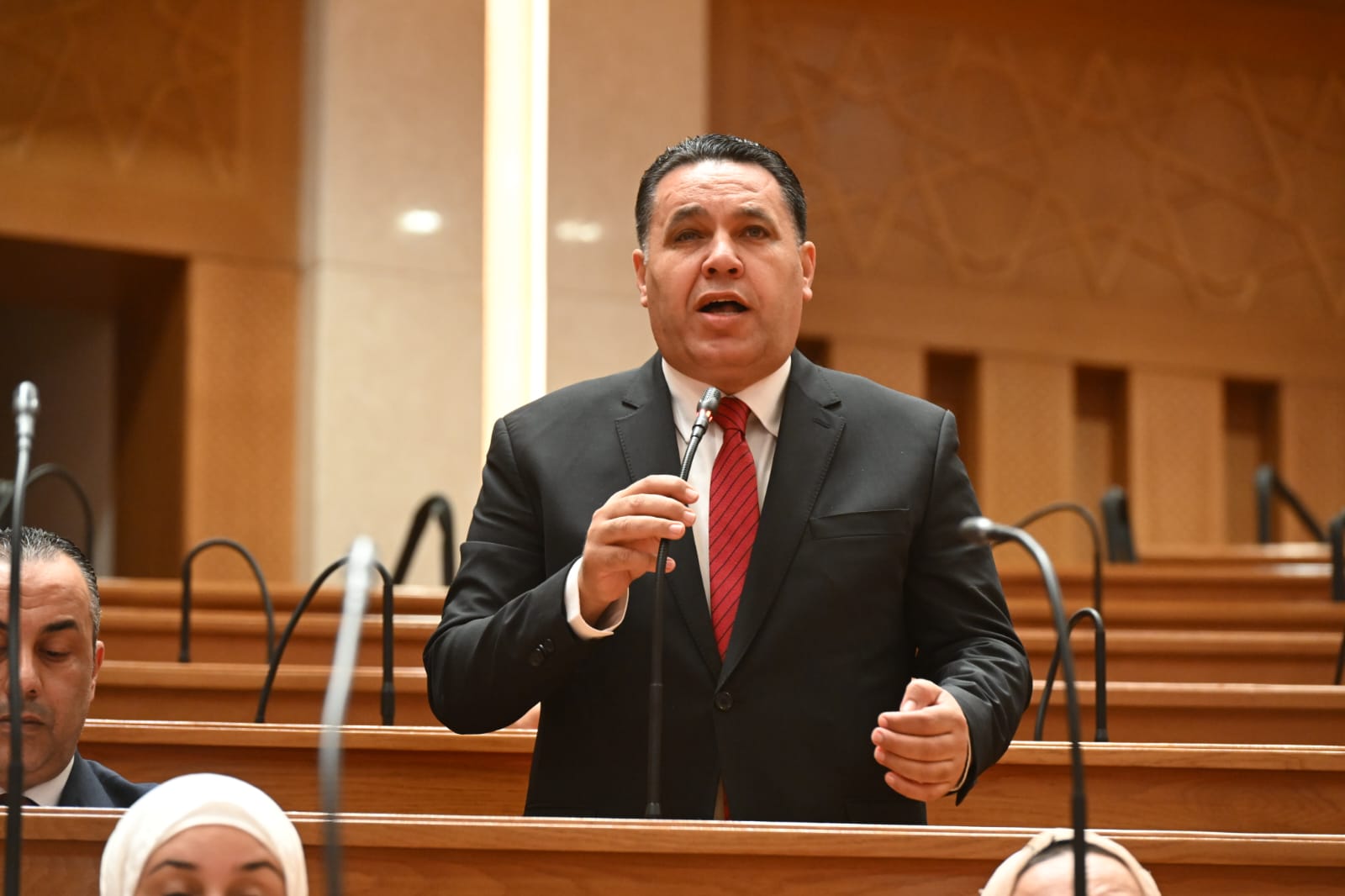 النائب عماد الغنيمي: مصر تقود تحالف الاستقرار والتنمية في القرن الإفريقي
