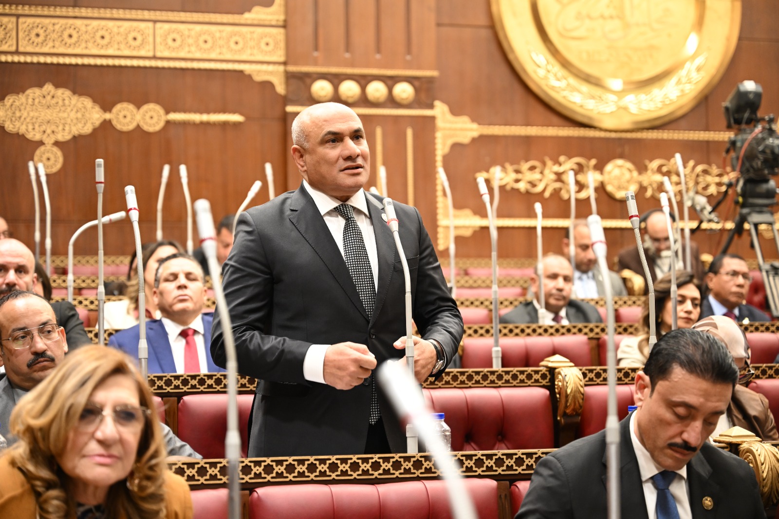 النائب شعبان رأفت: العلاقات المصرية–السعودية تعكس توافق القاهرة والرياض على دعم القضية الفلسطينية وتعزيز الاستقرار الإقليمي