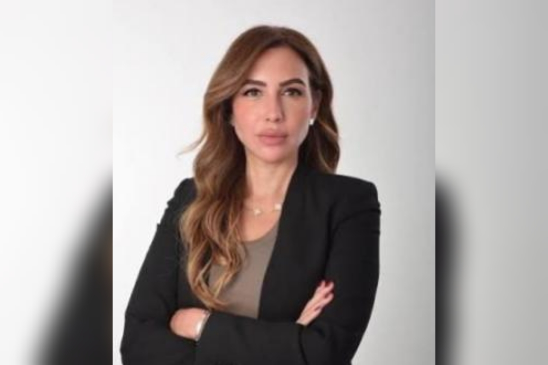 الشباب المصري والدولة