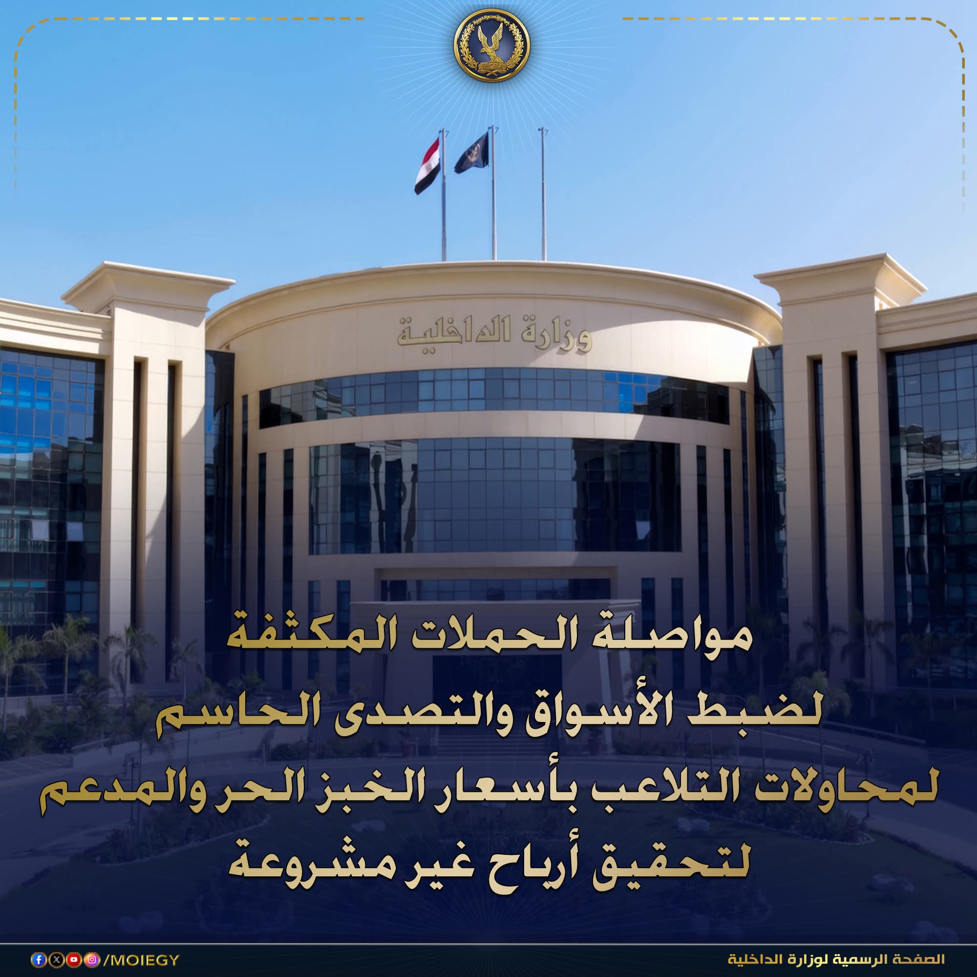 الداخلية تضبط 8 أطنان دقيق مخالفة في حملة تموينية مكبرة