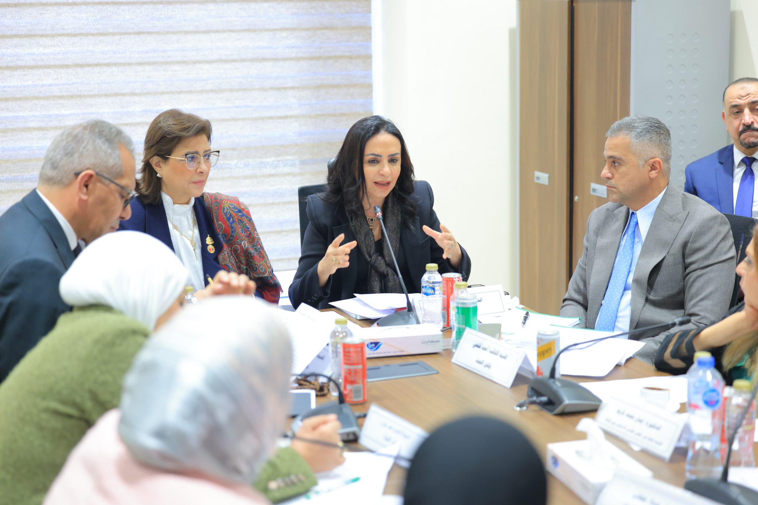 وزيرة التضامن تناقش تعديلات بعض أحكام قانون حقوق الأشخاص ذوي الإعاقة بلجنة التضامن الاجتماعي والأسرة وذوي الإعاقة بمجلس النواب