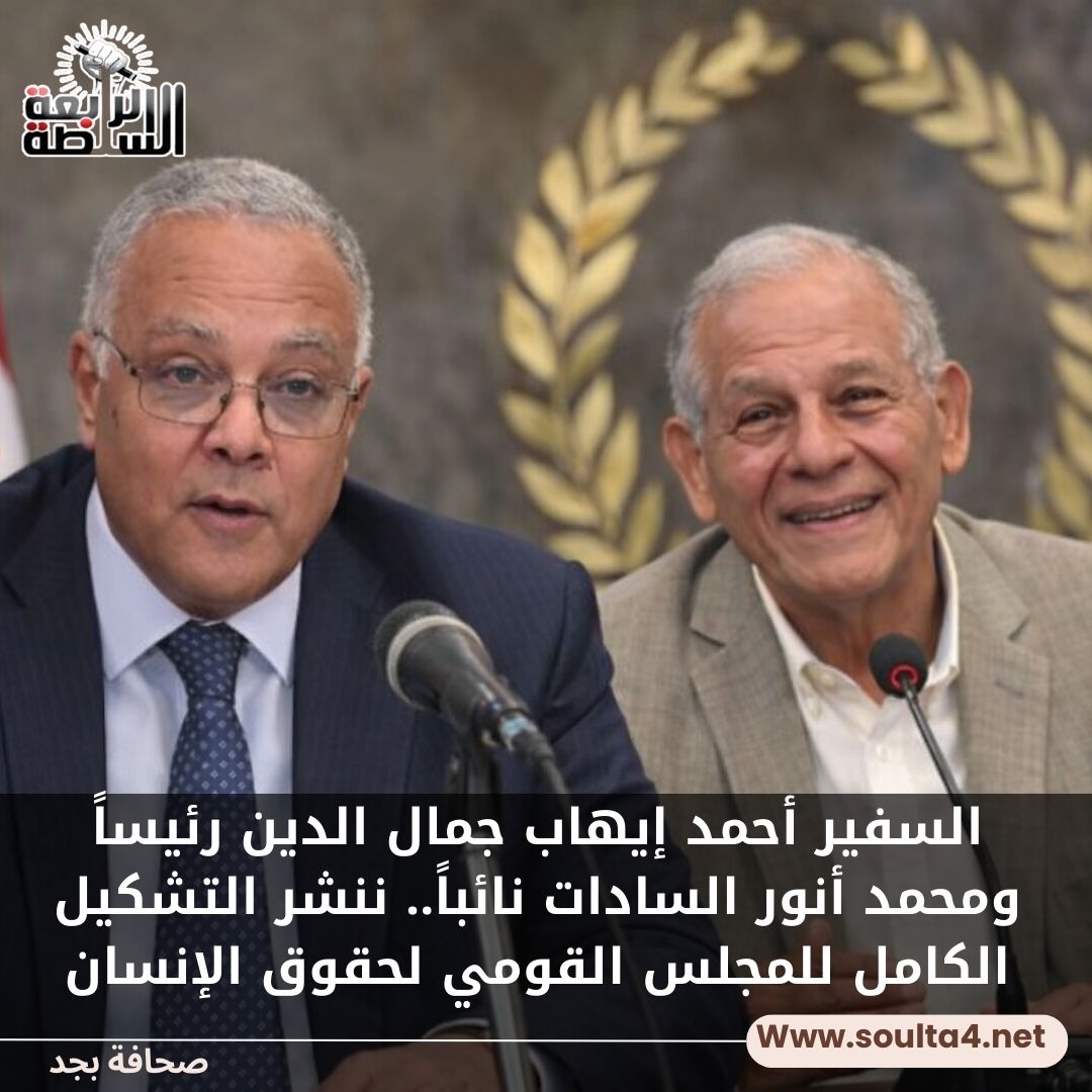 السفير أحمد إيهاب جمال الدين رئيساً ومحمد أنور السادات نائباً.. ننشر التشكيل الكامل للمجلس القومي لحقوق الإنسان