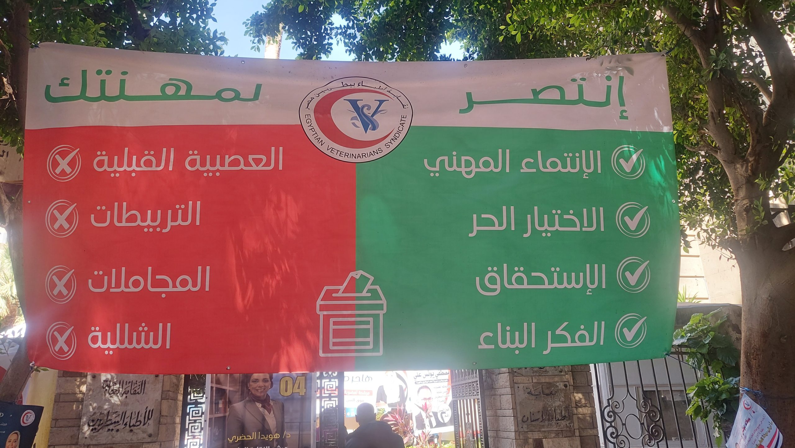 إقبال للأطباء البيطريين بصناديق الاقتراع في انتخابات التجديد النصفي بـ 42 لجنة