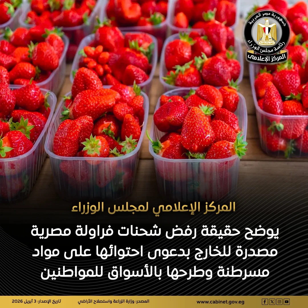 الحكومة تحسم الجدل حول “فراولة مصر”.. لا شحنات مرفوضة ولا مواد مسرطنة
