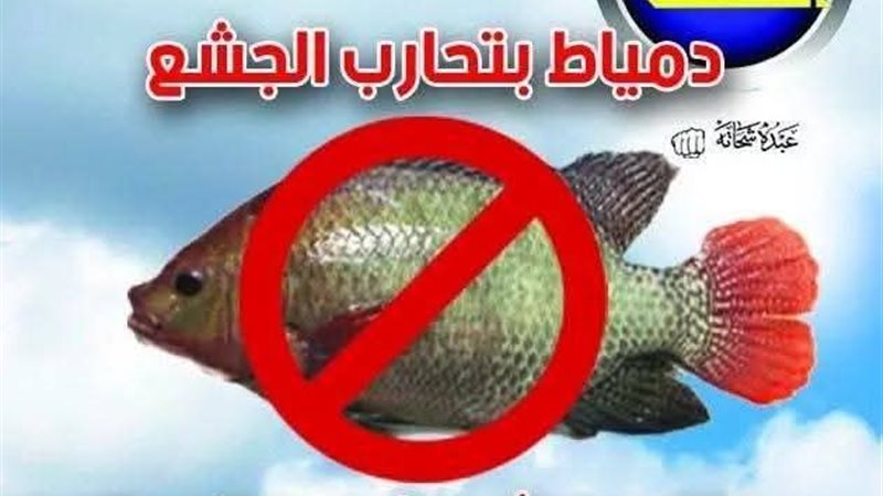 "غضب في دمياط بسبب أسعار الأسماك.. دعوات لمقاطعة الشبار والسردين تشتعل!"