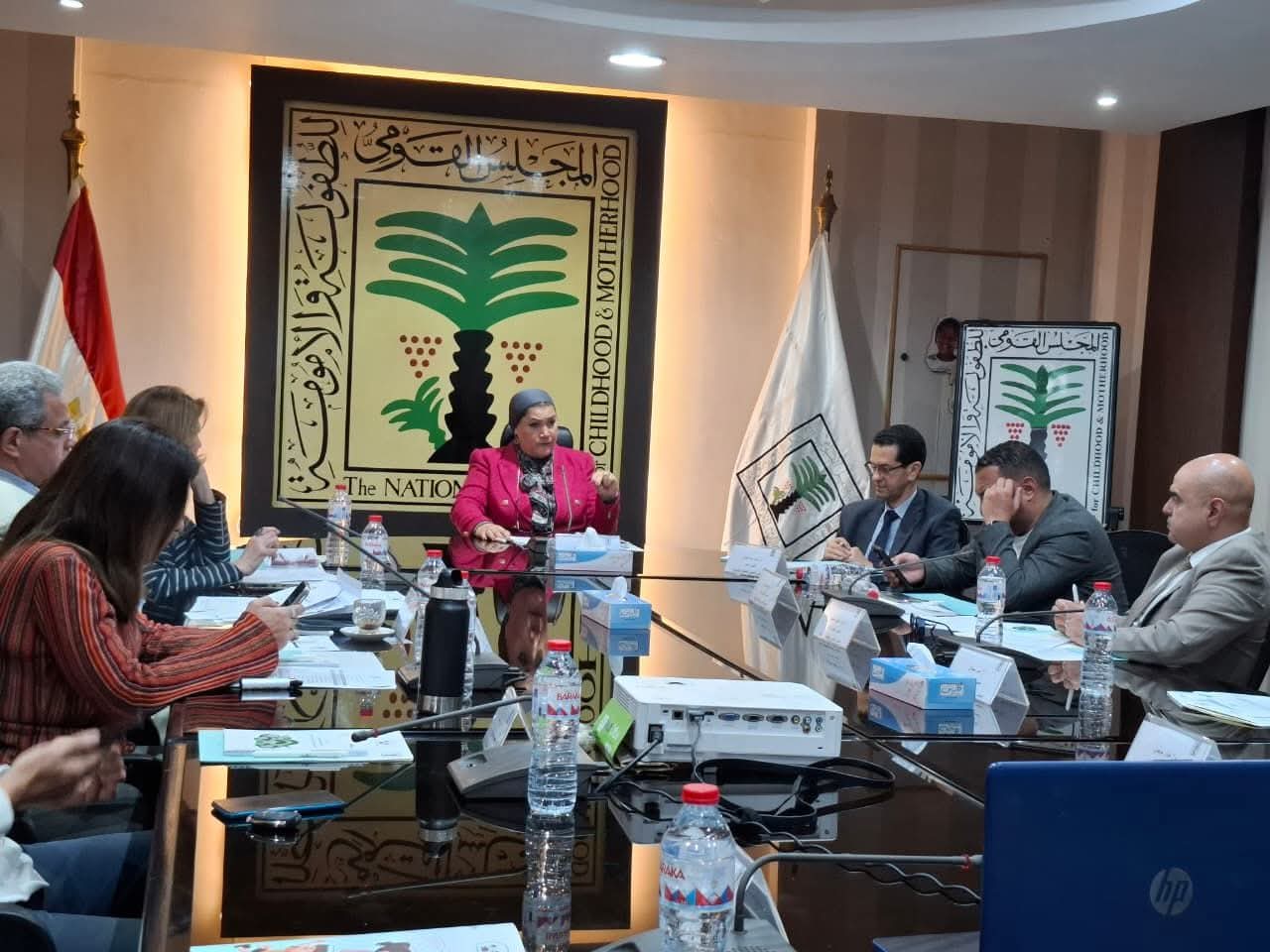 "القومي للطفولة والأمومة" يعقد اجتماعه الدوري.. ويستعرض جهوده لحماية الأطفال وتعزيز تمكين الفتيات