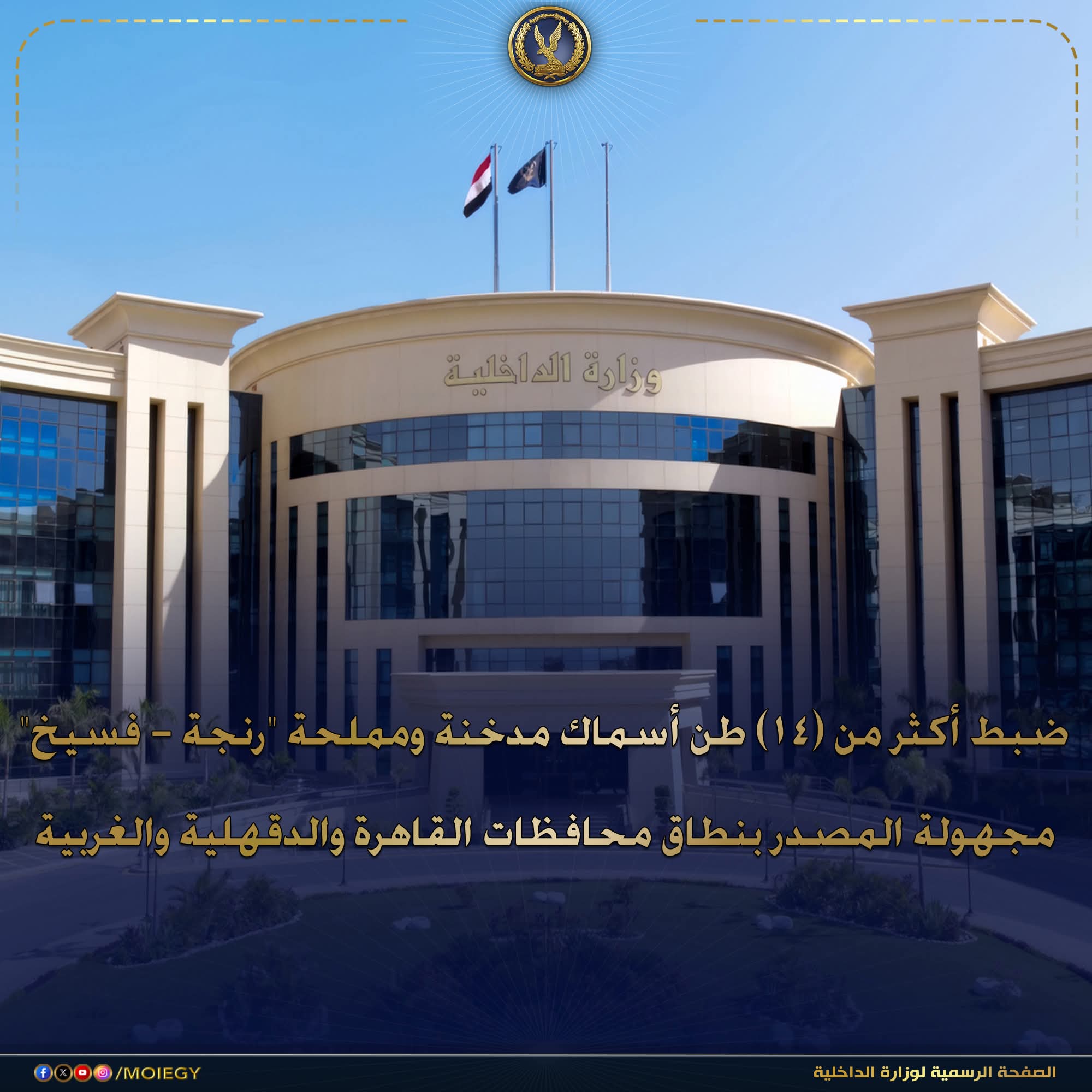 الداخلية تضبط أكثر من 14 طن رنجة وفسيخ فاسدة قبل طرحها بالأسواق في 3 محافظات
