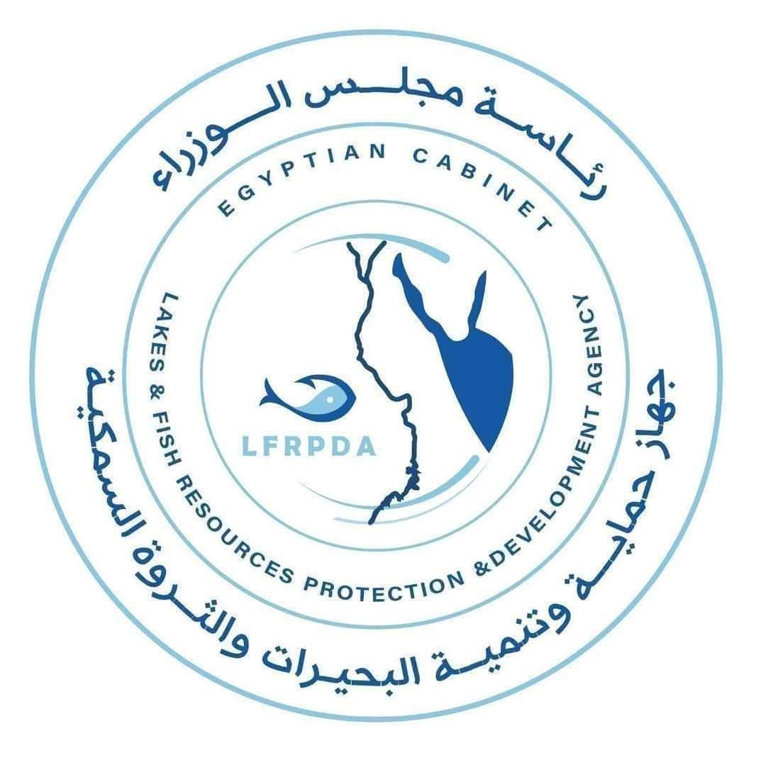 مزارع جهاز حماية وتنمية البحيرات تواصل الإنتاج" ٨٥ طنًا من الأسماك المتنوعة حصاد برسيق والزاوية..