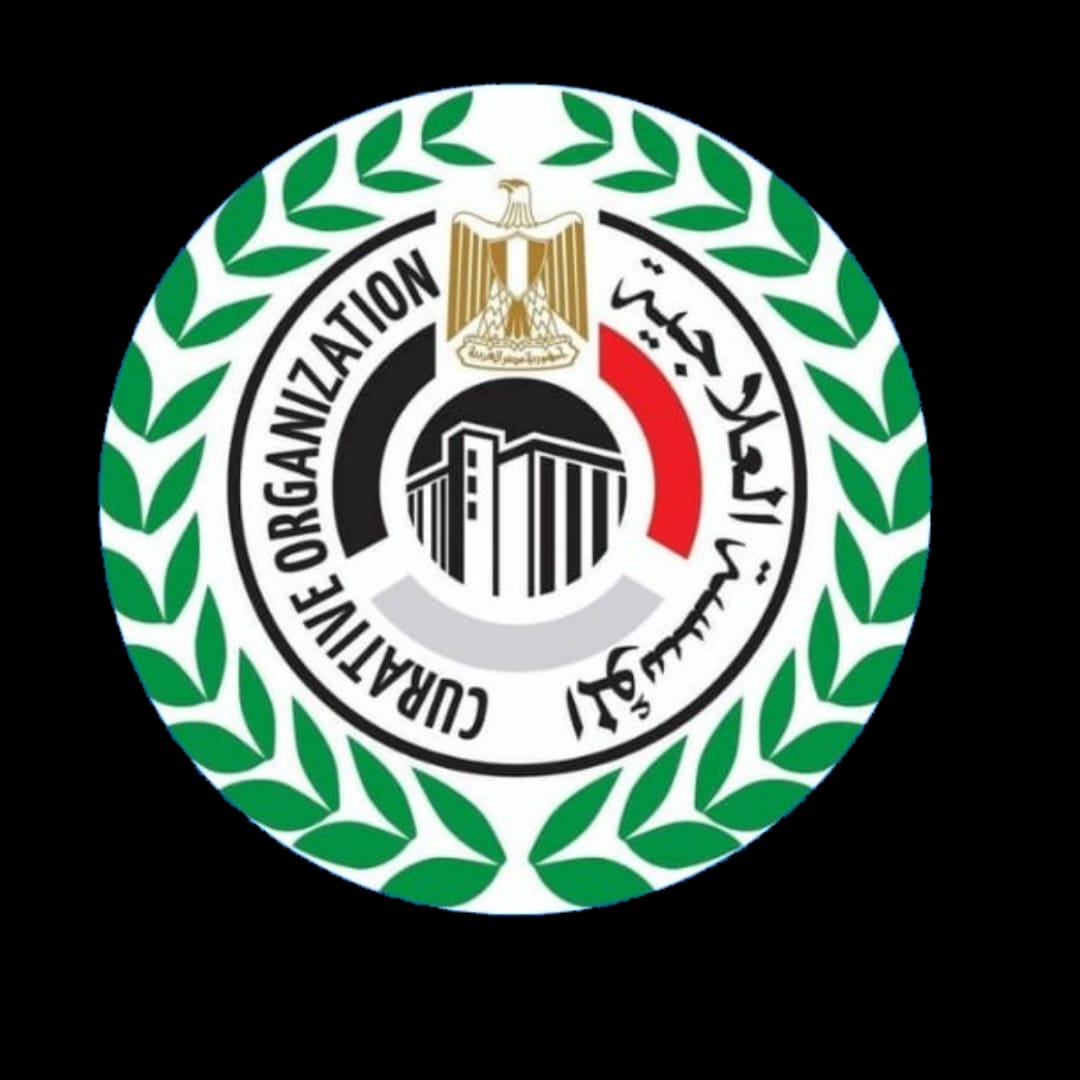 لأول مرة بوزارة الصحة.. المؤسسة العلاجية تستقدم فريقاً بيروفياً لإجراء جراحات "الأجنة داخل الرحم" بمستشفى مبرة المعادي