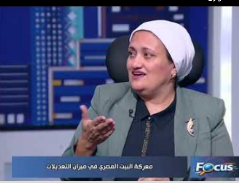 نائبة بـ "المصري الديمقراطي": نحتاج قانوناً متوازناً للأحوال الشخصية.. والأم هي الأجدر برعاية الطفل غريزياً