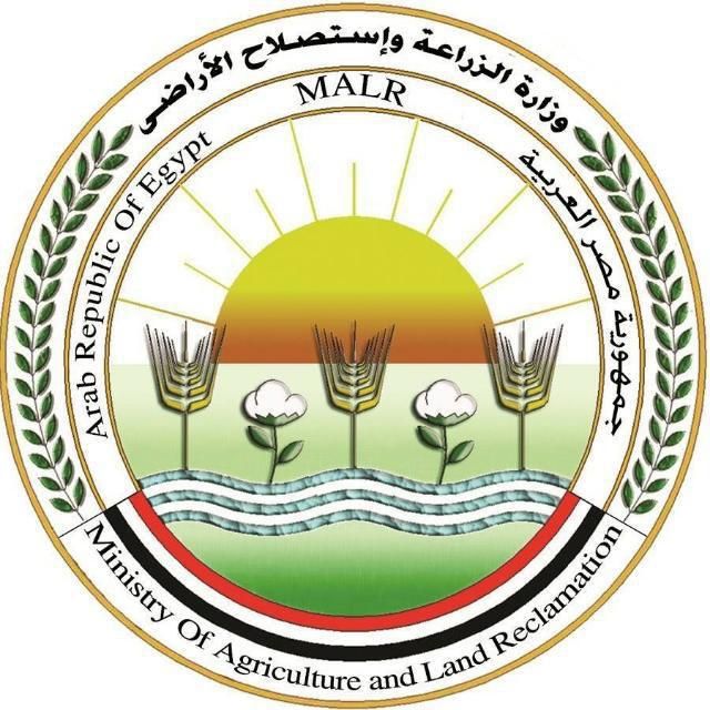 "الزراعة" تصدر حزمة توصيات عاجلة للمزارعين والمربين لمواجهة التقلبات الجوية الحادة