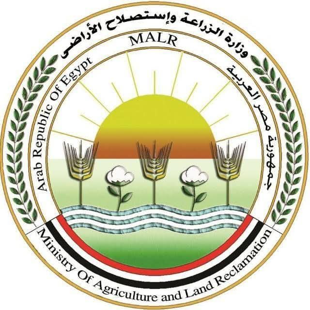 تحت رقابة وإشراف بيطري كامل.. "الزراعة" تعلن ذبح 35,514 أضحية بالمجازر الحكومية مجاناً للمواطنين خلال عيد الأضحى المبارك