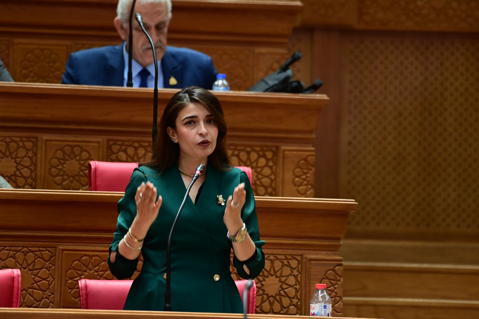 النائبة إيرين سعيد رئيس الهيئة البرلمانية لحزب الإصلاح والتنمية تعلن رفضها للحساب الختامي لموازنة 2024/2025