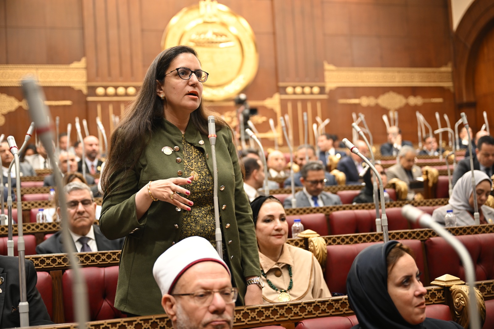أمام "الشيوخ".. النائبة أميرة تاوضروس تطالب باستراتيجية شاملة للمطارات لمواكبة خطة "الـ 30 مليون سائح"