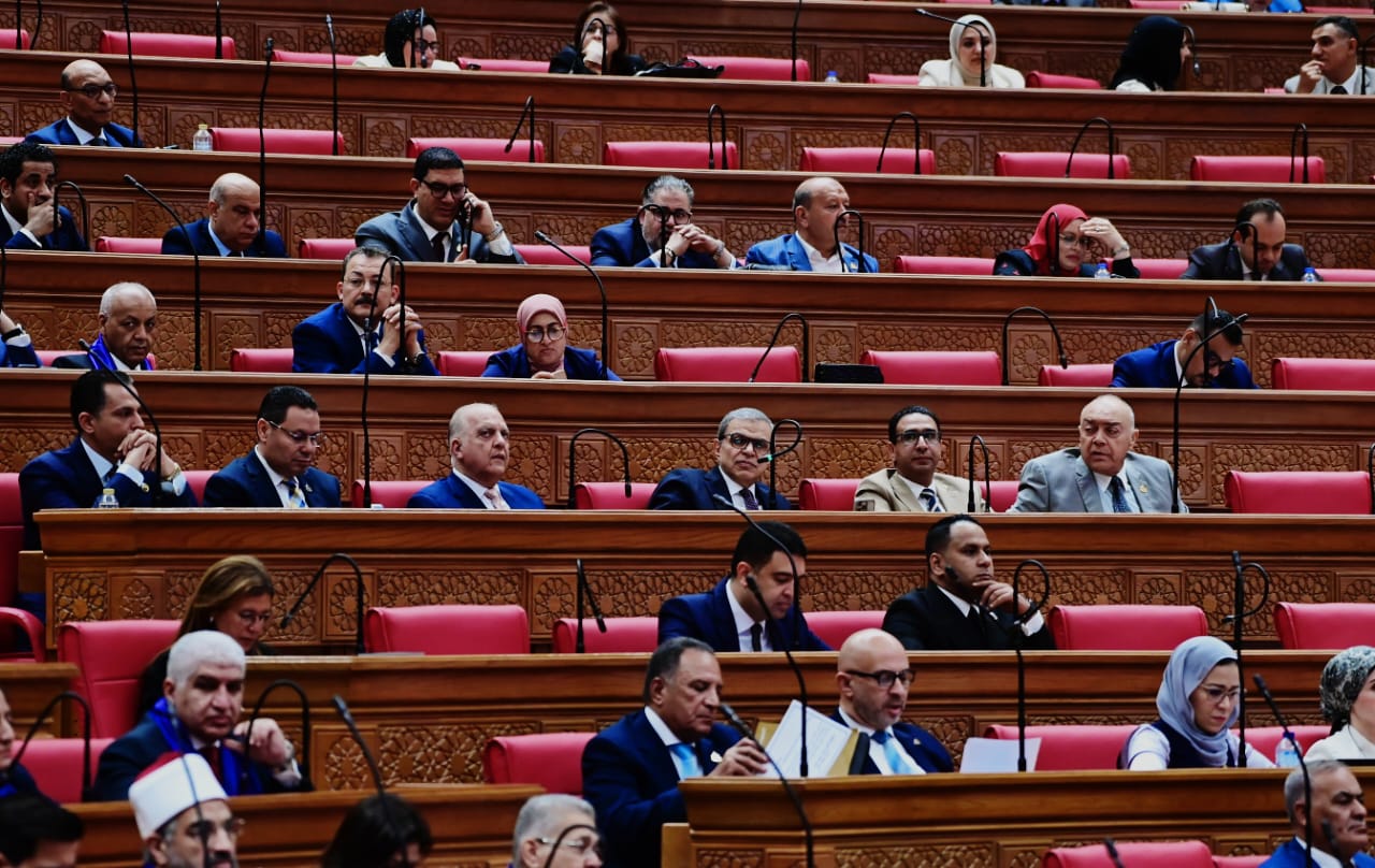 وكيل النواب : مصر تدعم العمل على تحقيق آفاق التنمية والازدهار داخل ليبيا