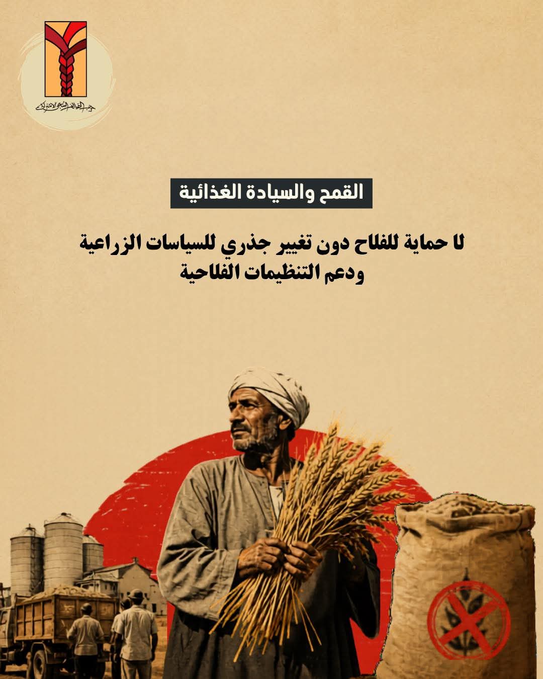 "التحالف الشعبي" ينتقد آليات استلام القمح: نرفض تهميش الفلاح ونطالب بأسعار توريد عادلة