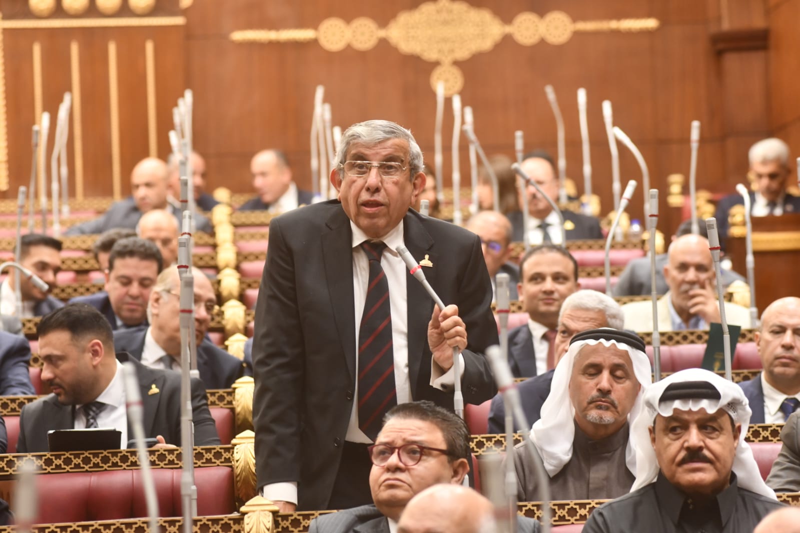 برلماني يطالب بتعديلات تمنح "الشيوخ" صلاحيات أوسع في التشريع والرقابة