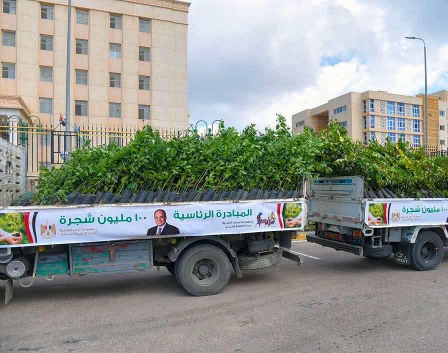 انتهاء المرحلة الرابعة من مبادرة "100 مليون شجرة".. زراعة أكثر من 200 ألف شجرة جديدة بالمحافظات