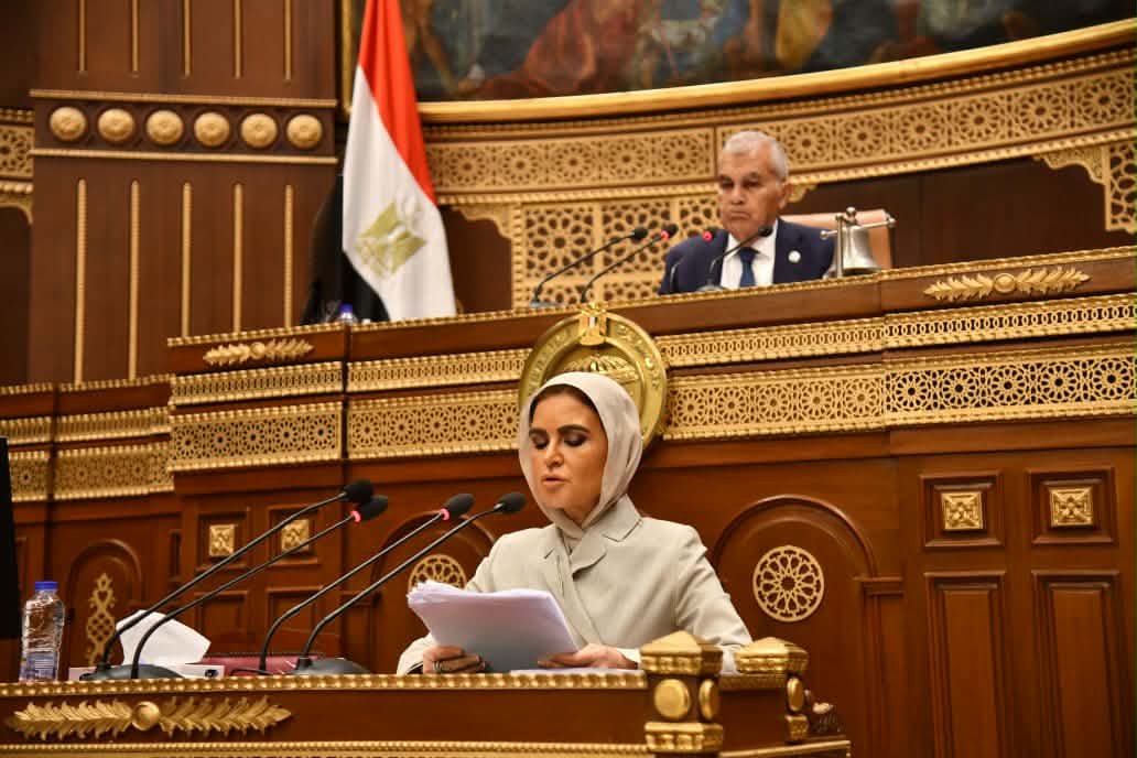 سحر نصر أمام جلسة الشيوخ: لابد من إفساح المجال أمام القطاع الخاص في ملف الاستثمار
