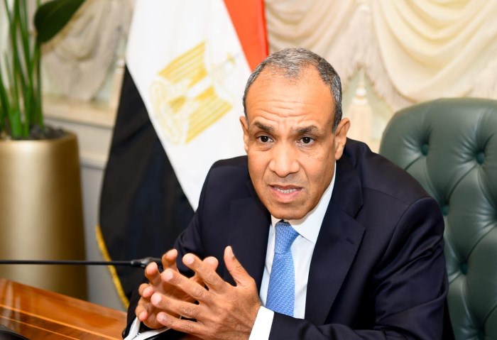 وزير الخارجية: مصر تكبدت خسائر بنحو 10.5 مليار دولار جراء تأثر الملاحة الدولية