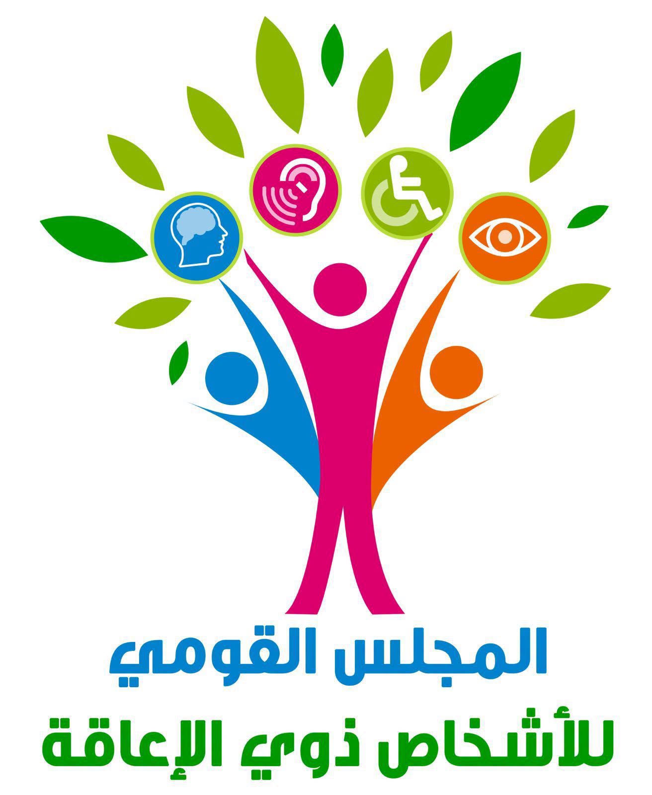 القومي لذوي الإعاقة يحذر من صفحات الإدعاءات المضللة وجمع الأموال والتبرعات بطرق غير مشروعة