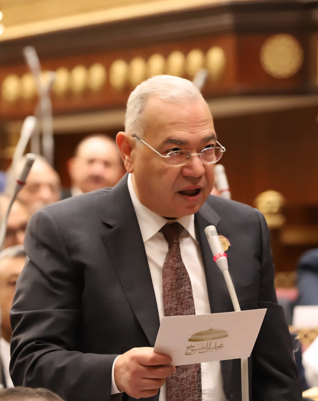 النائب عصام خليل: غرور الجماعة عجل بسقوطها.. والدولة المصرية انتصرت بحكمة القوات المسلحة وإرادة شعبها